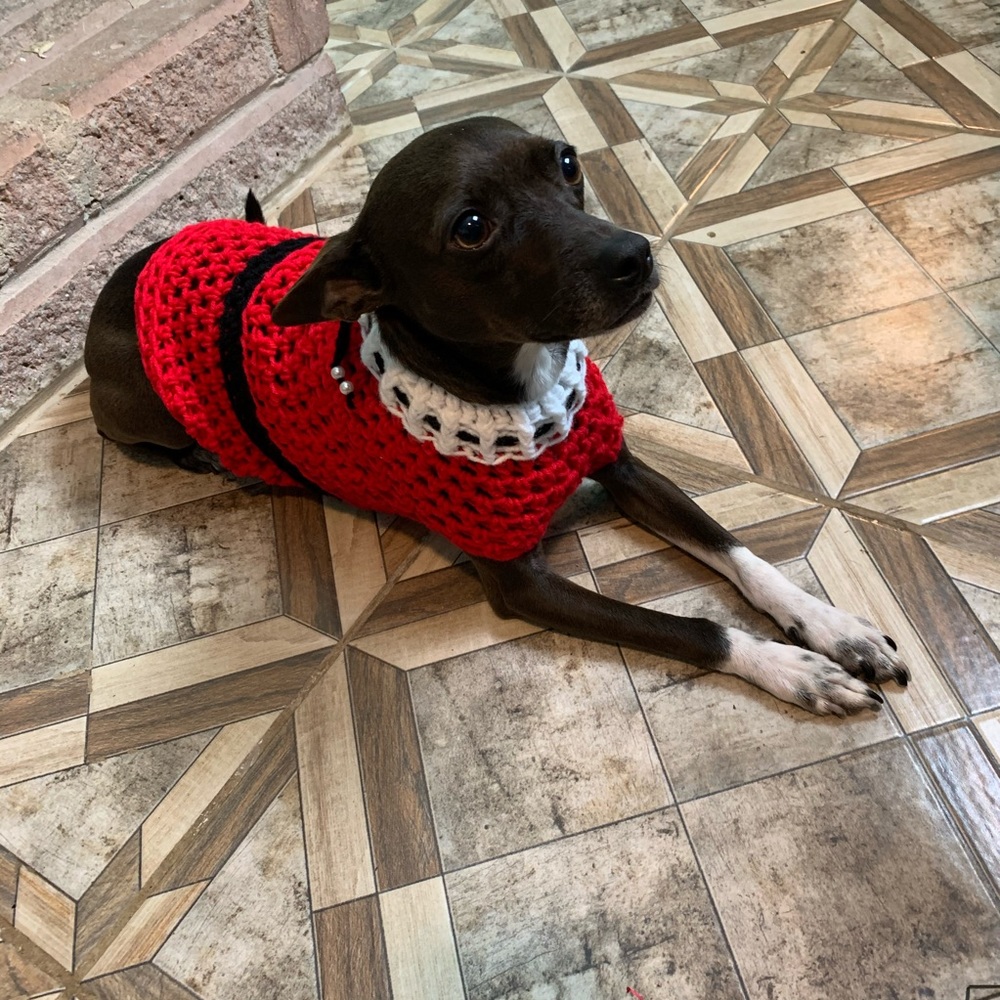 HANDMADE SWEATER FOR DOG SZ M